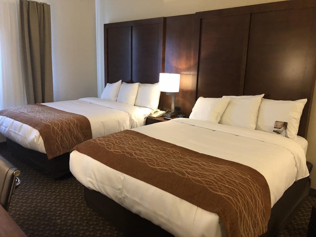 Comfort Inn & Suites Sw Houston Sugarland Extérieur photo